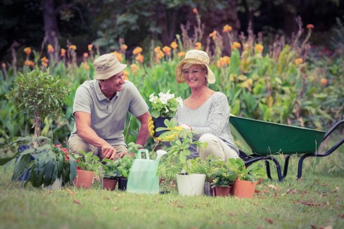 Hedge cutting service for Brentcross residential gardens