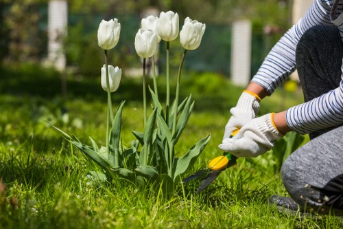 Tree surgeon pricing discussion for a Brentcross home garden