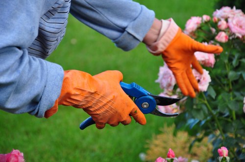 Protected payment methods for Tree Surgeons Brentcross services