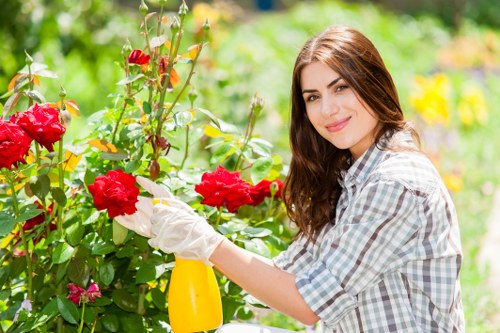 Professional handling of a tree care complaint