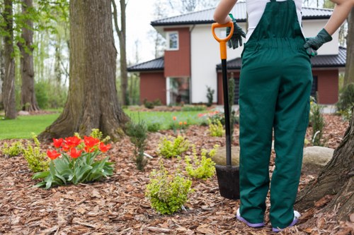 Marketing cookies helping tailor content for tree surgeons in Brentcross