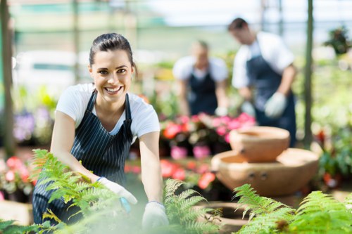 Detailed ground-level tree inspection in North West London